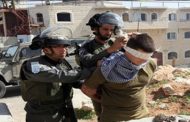 اسرائيل تعتقل 12 فلسطينيا في الضفة الغربية