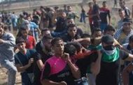 إرتفاع حصيلة الشهداء الفلسطينيين برصاص الاحتلال الاسرائيلي في غزة إلى 41 شهيداً