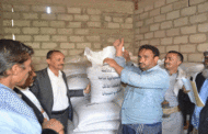 توزيع بذور القمح المحسن لـ 200 مزارع بمديرية القفر بإب