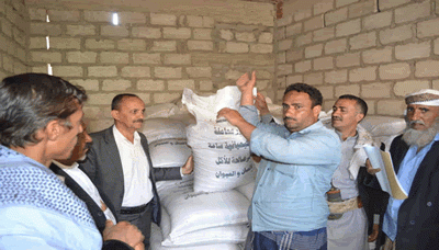 توزيع بذور القمح المحسن لـ 200 مزارع بمديرية القفر بإب