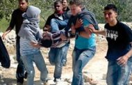 إصابة طفل فلسطيني برصاص قوات الاحتلال بمواجهات في بيت أمر