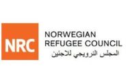 المجلس النرويجي: ميناء الحديدة روتردام اليمن ولا يمكن السماح بقطع شريان الحياة الرئيسي للمدنيين