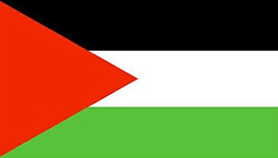 الخارجية الفلسطينية :اعتراف الاحتلال بقتل الأطفال الثلاثة تحد صارخ للقانون الدولي
