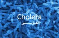 اختتام الحملة البيئية لمكافحة وباء الكوليرا بمديرية المخادر بإب
