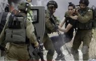 الاحتلال يعتقل 18 فلسطينيا و مستوطنون يستولون على أراضٍ جنوب بيت لحم