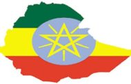 الخطوط الإثيوبية توقف استخدام أسطولها من طائرات بوينج 737-8