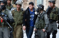 الاحتلال الإسرائيلي يعتقل 4 فلسطينيين في الخليل وجنين بالضفة