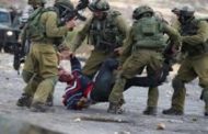 الاحتلال الاسرائيلي يعتقل 20 فلسطينيا