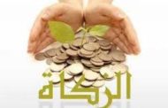 زكاة الفطر في محافظة إب تستهدف أكثر من 14 ألف حالة