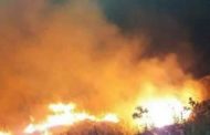 الاحتلال الإسرائيلي يفتعل حريقاً في أراض زراعية في القنيطرة بالجولان السوري