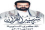 طيران العدوان يشن 14 غارة على محافظة مأرب
