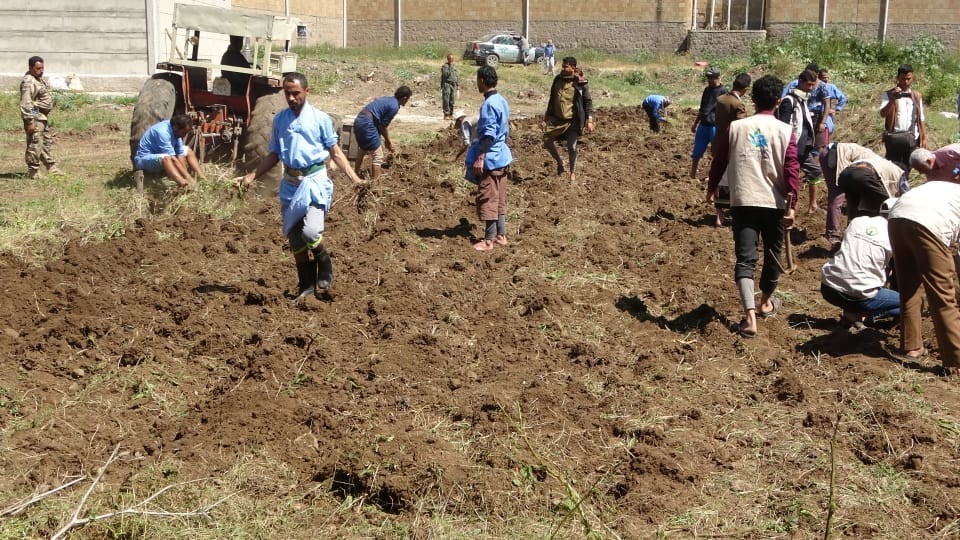 تنفيذ مبادرة زراعية في ساحة الإصلاحية المركزية بمحافظة إب