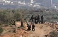 إصابة 4 فلسطينيين بالرصاص وآخرون بالاختناق جنوب نابلس بالضفة المحتلة