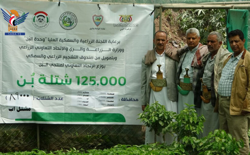 تدشين توزيع 89 ألف شتلة بُن من مشتل إب للمزارعين في عدد من المحافظات