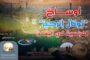 تدشين توزيع بذور الحبوب على مزارعي مديرية السدة بمحافظة إب
