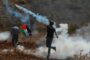 الفاتيكان ينتقد خطة ترامب لتهجير الفلسطينيين ويؤكد حقهم في البقاء على أراضيهم