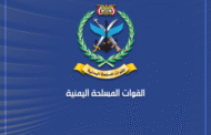 وزارة الدفاع: لا نستبعد إصابة حاملة الطائرات 