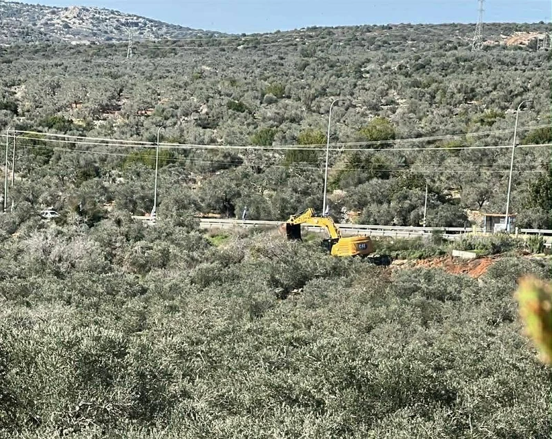 قوات العدو الإسرائيلي تقتلع أشجار زيتون غرب جنين