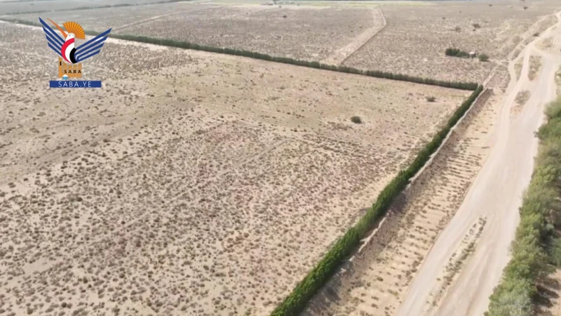 مشروع الحزام الأخضر بالحديدة.. أرقام وإنجازات تؤسس لمرحلة بيئية جديدة