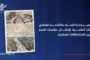 تعزيز وحدة الصف والتلاحم الوطني ركائز أساسية لإفشال مؤامرات العدو ونيل الاستحقاقات الوطنية