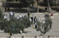 في تصعيد جديد.. العدو الإسرائيلي يضع حجر أساس لمستوطنة جديدة قرب جنين