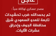 مصدر عسكري لـ