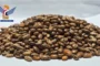 غارتان لطيران العدو السعودي على مقبرة بمديرية حيفان في تعز